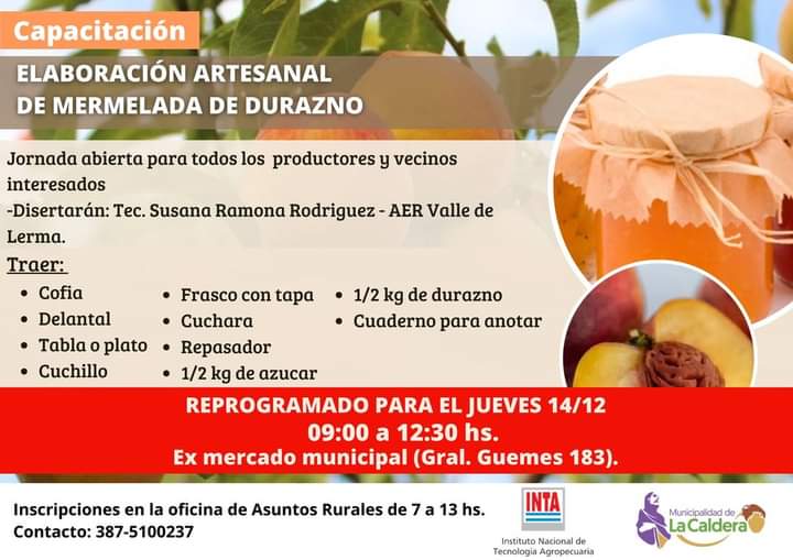 FB_IMG_1702468387219